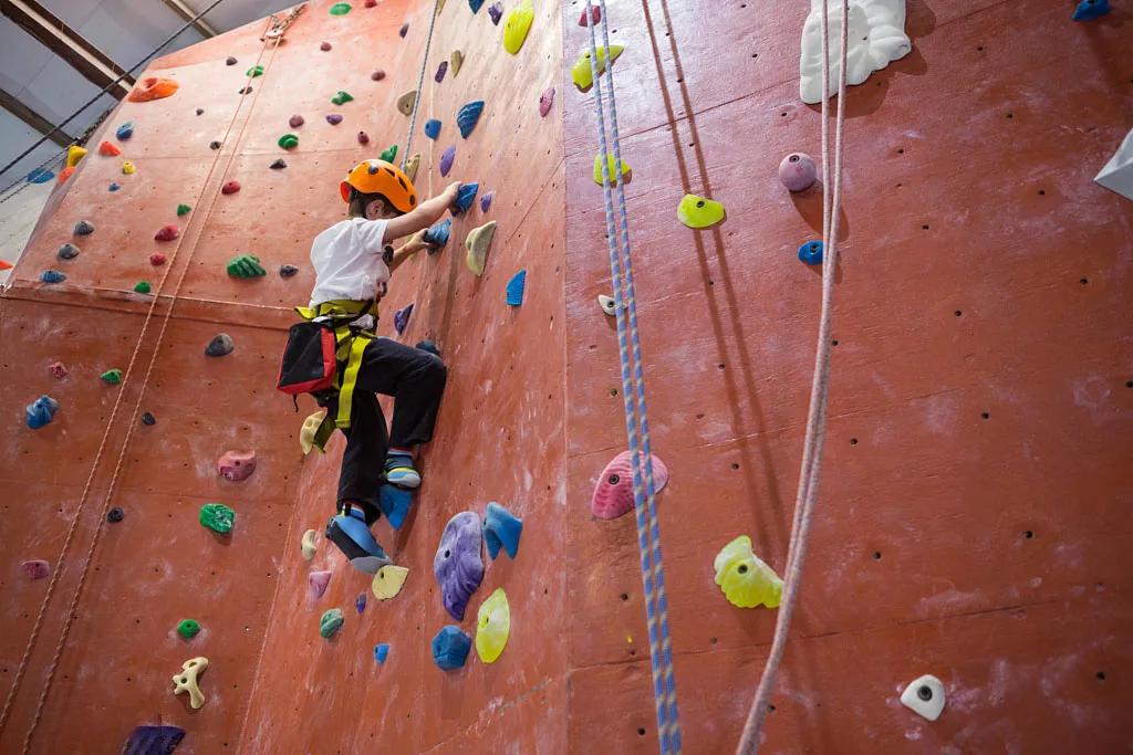 悟空研学社,悟空研学研究所