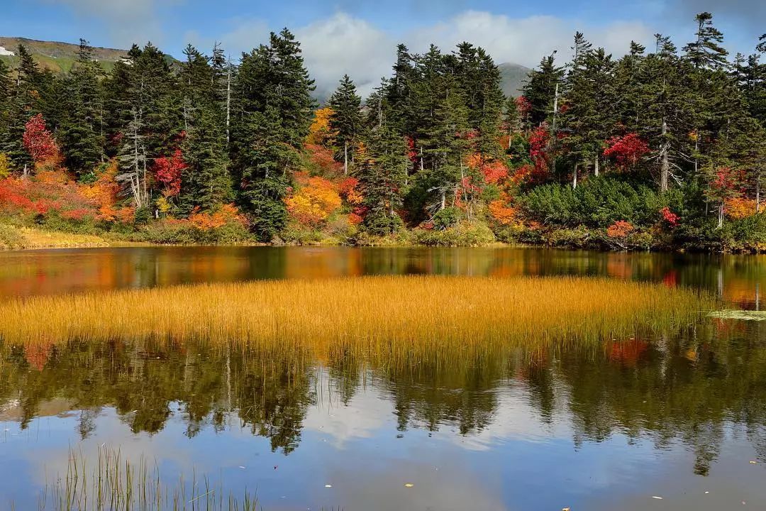 停车坐爱枫林晚，感受火红的秋