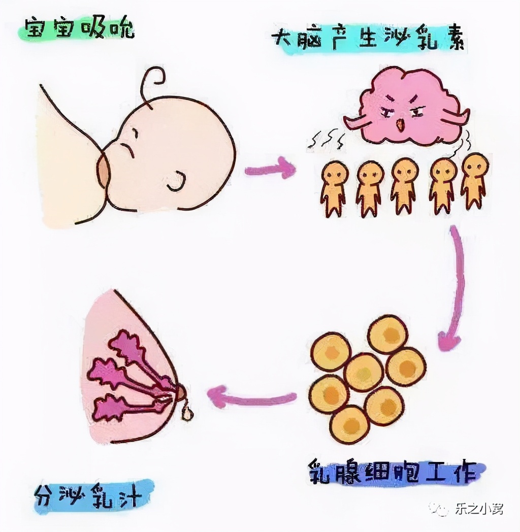 奶水不足？别再甩锅给“胸小”