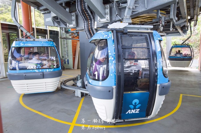 悉尼塔龙加动物园游玩攻略,悉尼塔龙嘉动物园游记