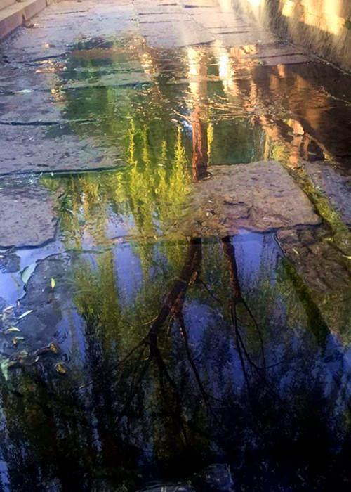 济南几大怪,济南十大怪事件