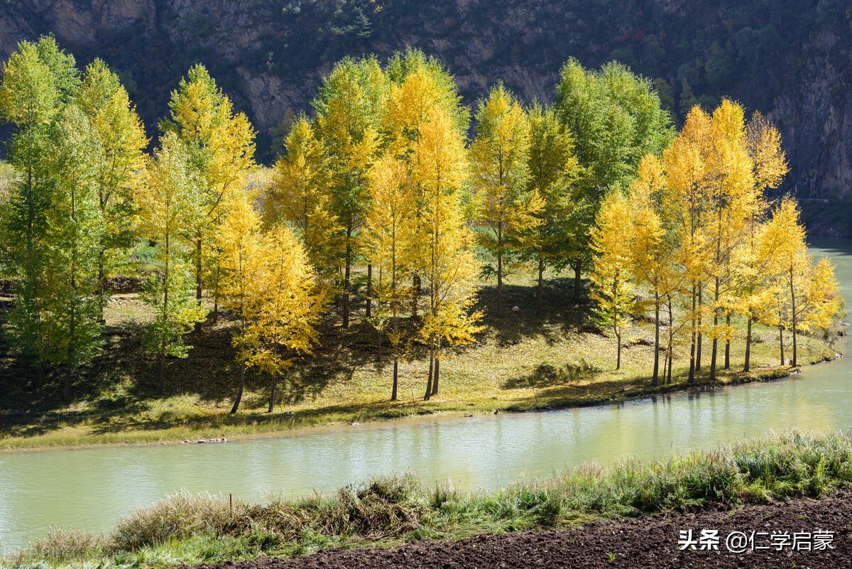 相异之仁：敬、忠、恕、无怨（12.2）