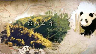 那年为了给内地水灾募捐，香港居然破了世界纪录