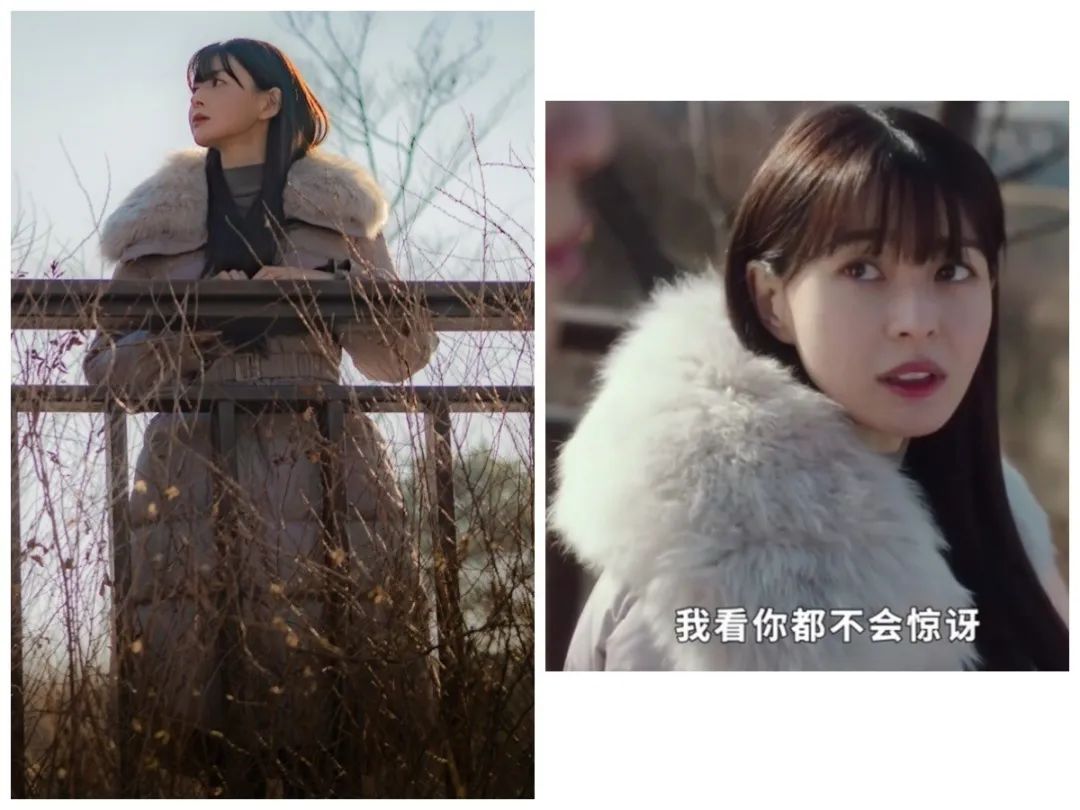 拜托了衣橱第1季解说,拜托了衣柜第三期在线观看完整版