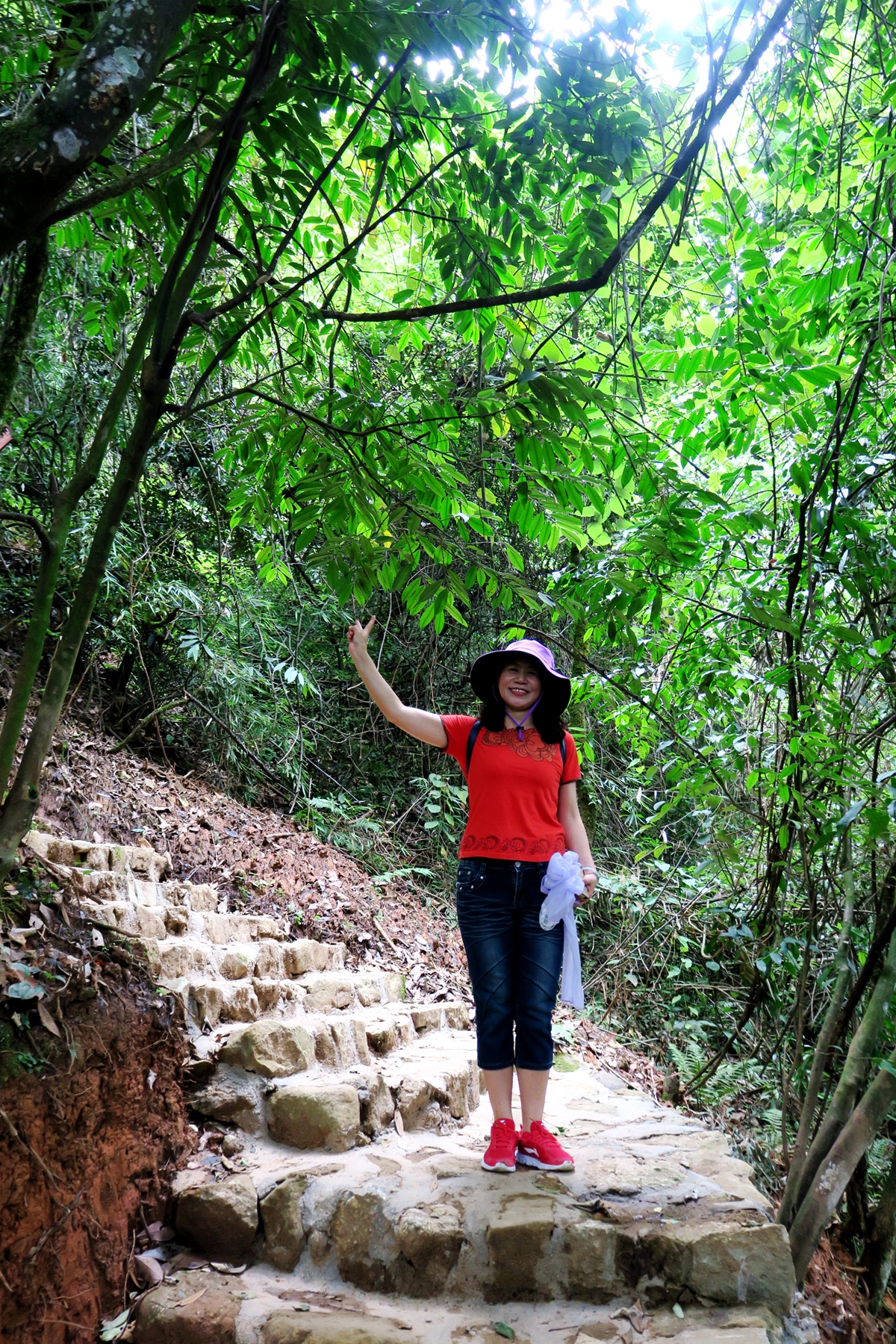 猴山飞瀑,猴山飞瀑旅游区地图