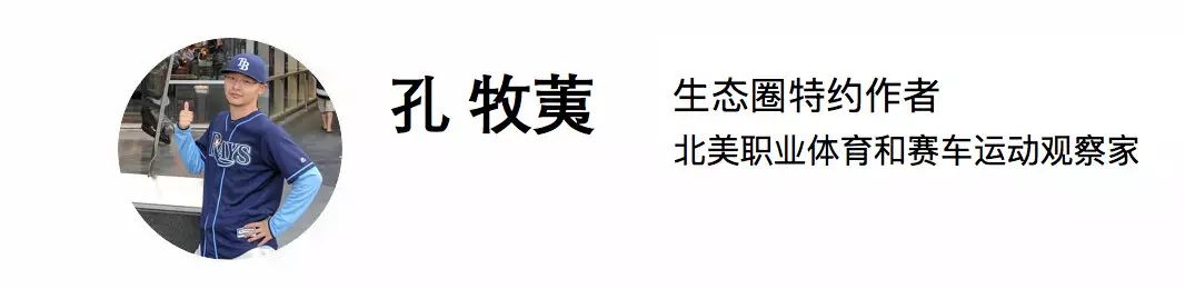 鏃ユ湰妫掔悆杞細鍒跺害,妫掔悆鑱旂洘杞細