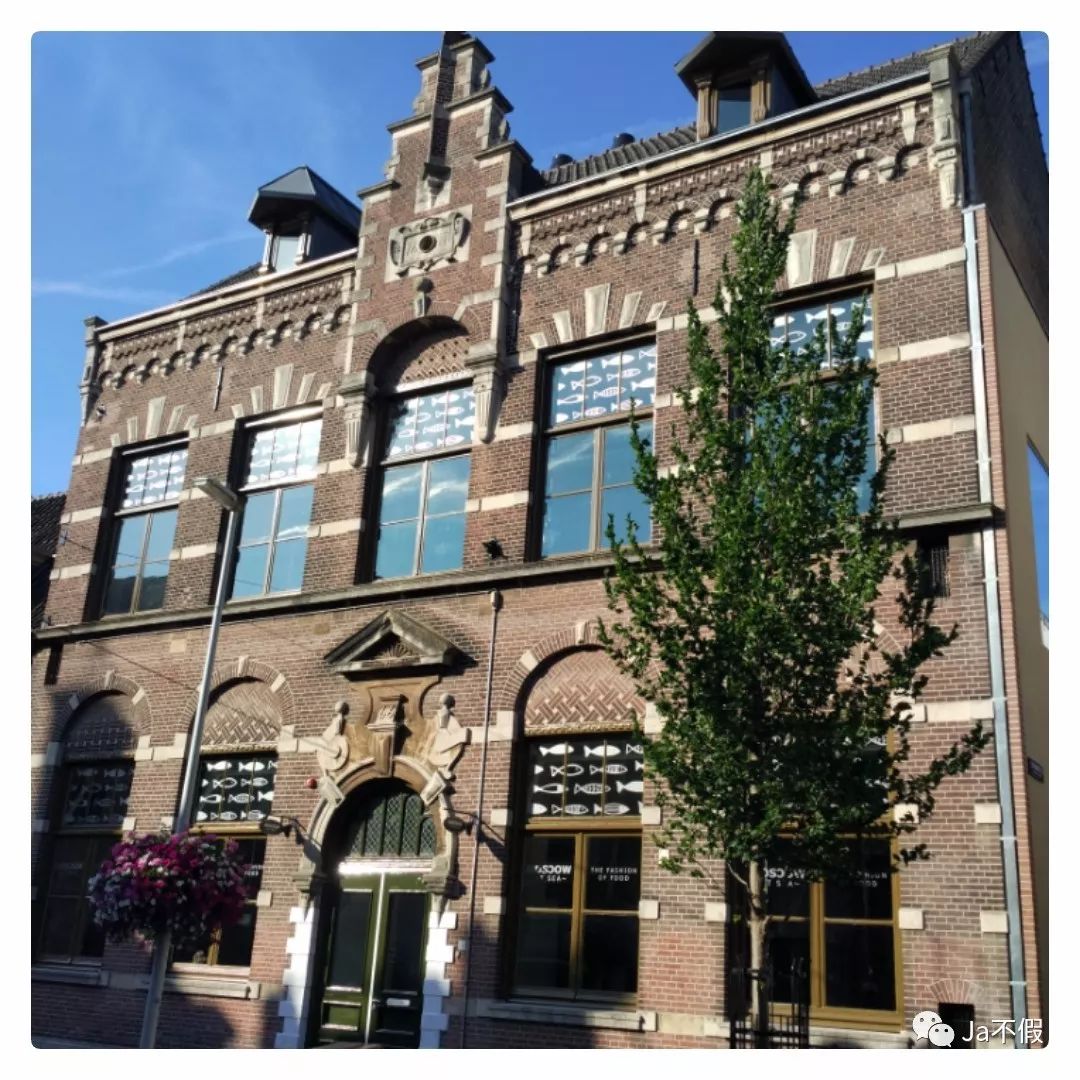 呼吸荷兰——印象莱顿