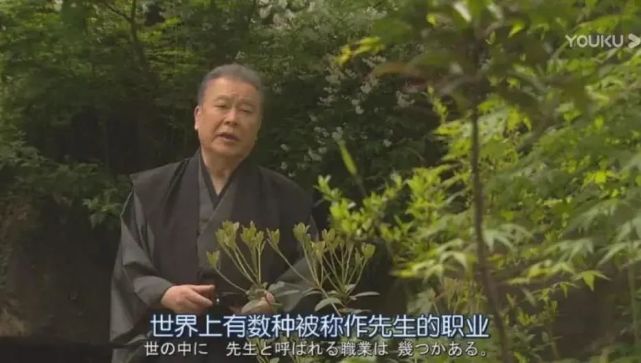 日本称呼女性是君还是桑,日本人称呼桑和酱