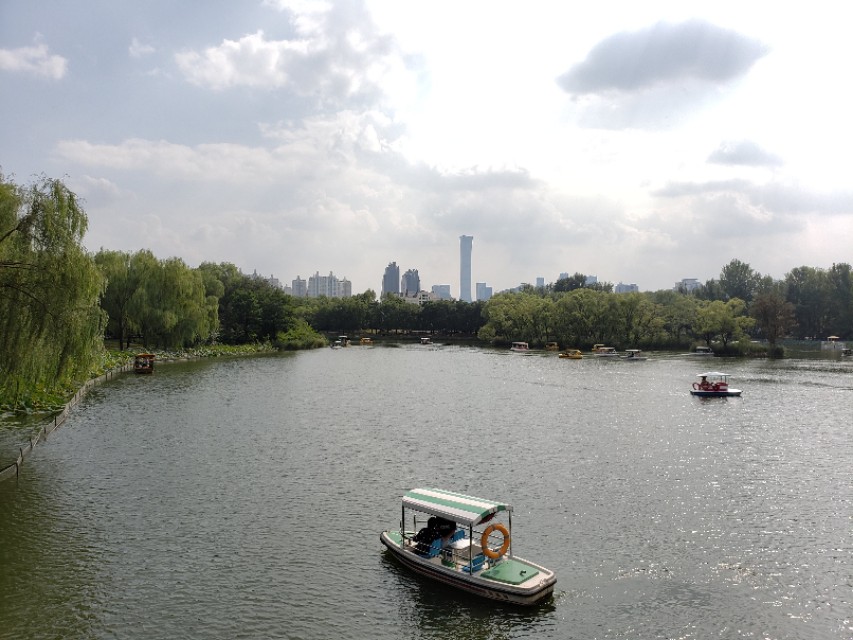 北京适合带娃遛狗的公园推荐,北京适合带娃溜达的公园