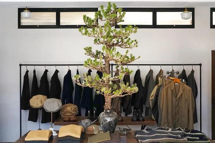 试过P.M.C.才知道,原来复古风也能很“清淡”