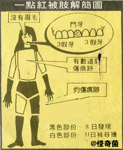 马来西亚歌手被男粉丝杀害,马来西亚女歌星被分尸