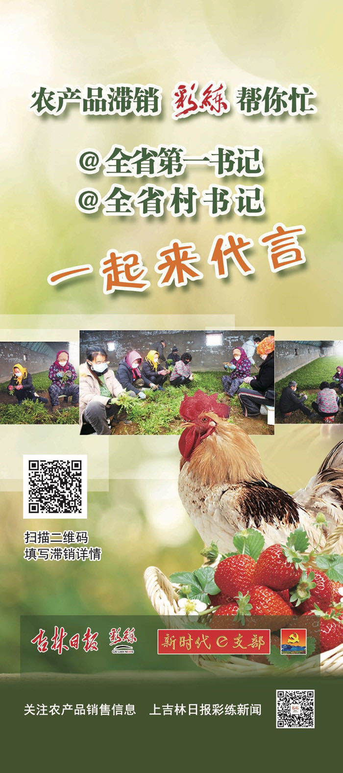 第一书记推荐：椴树蜜香白甜，养蜂人卖得很辛苦