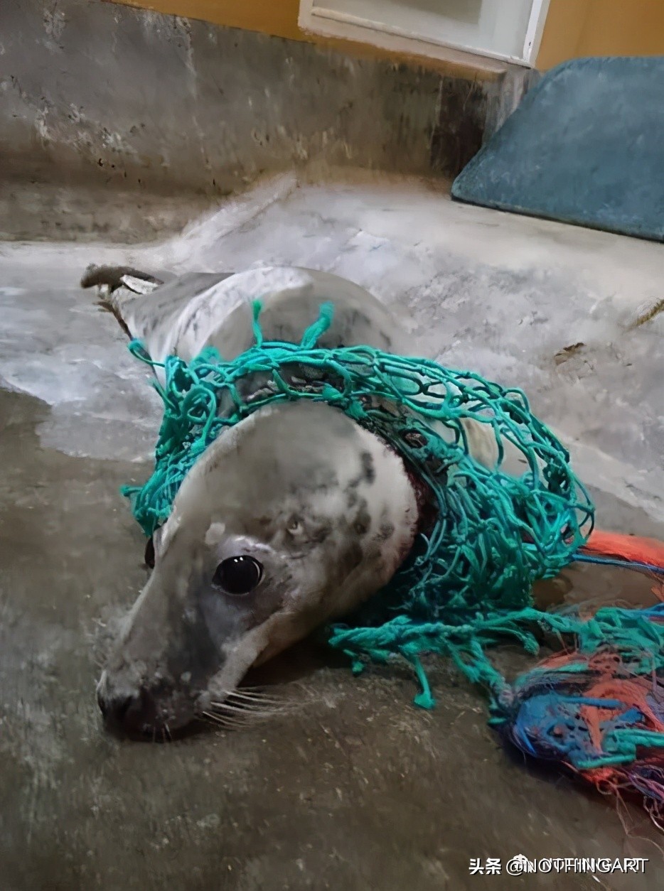 给明星做造型的“垃圾”行为艺术家？雷人背后的那一份深刻……