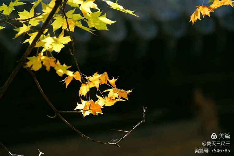 玉泉山北坞公园介绍,北坞村玉泉山