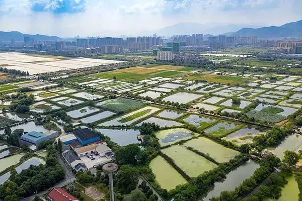 杭州西湖区免费足球场,西湖边的足球场