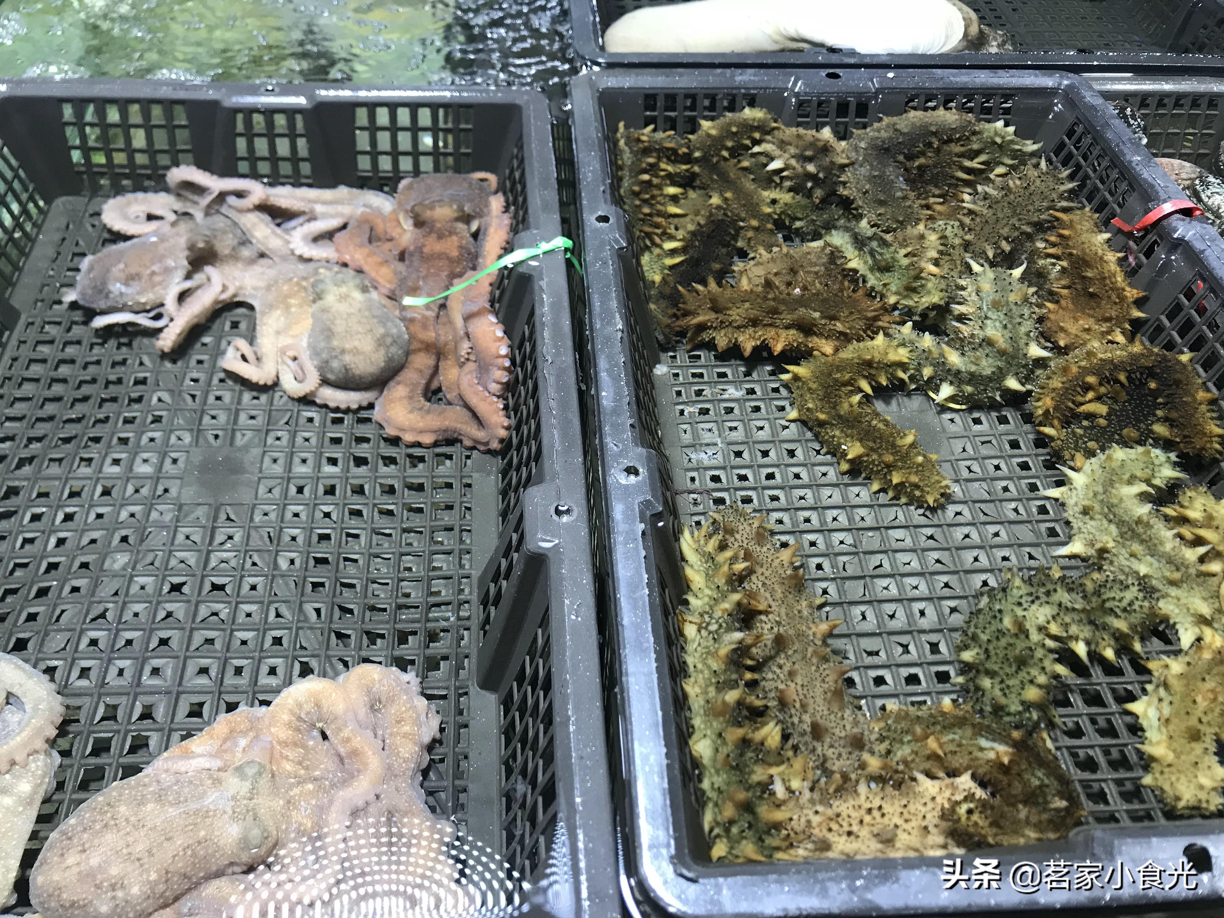 探店石家庄高端自助,吃喝玩转石家庄探店价格