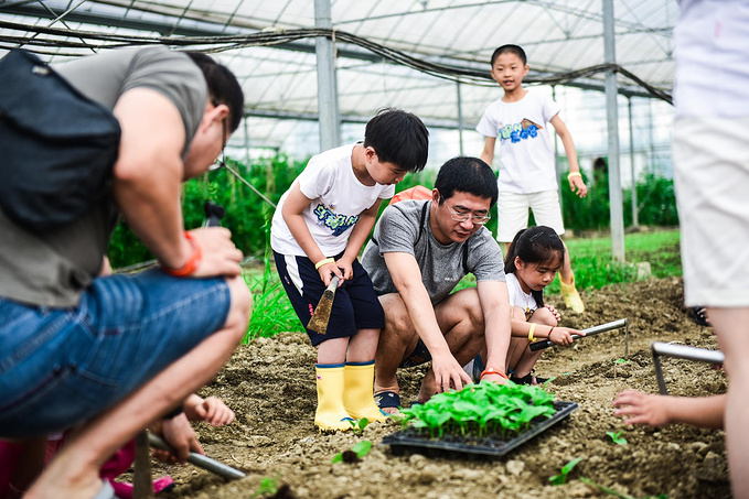 乌村暑期夏令营，吃喝玩乐在这里