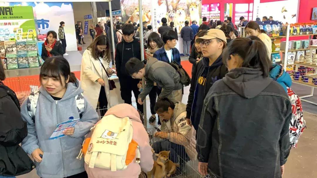 2019年第161届中国宠物文化节,2018年宠物文化节