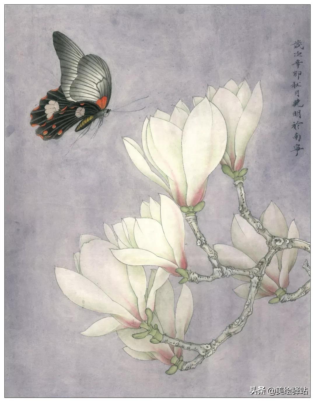 「教程」李晓明《玉兰蝴蝶》绘制步骤