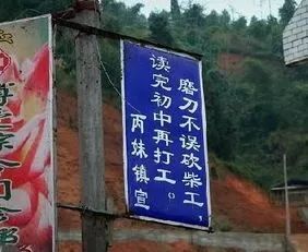 哪个年金险收益率最高,哪个年金最值得购买