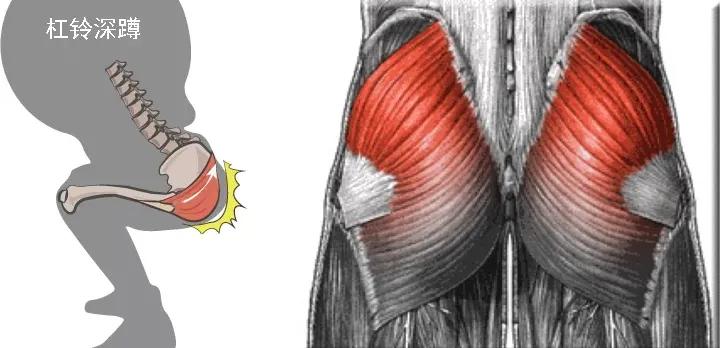 腿长身体短适合练什么,腿长身体短练出来好看吗
