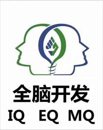 全脑开发中家长、老师的13问答