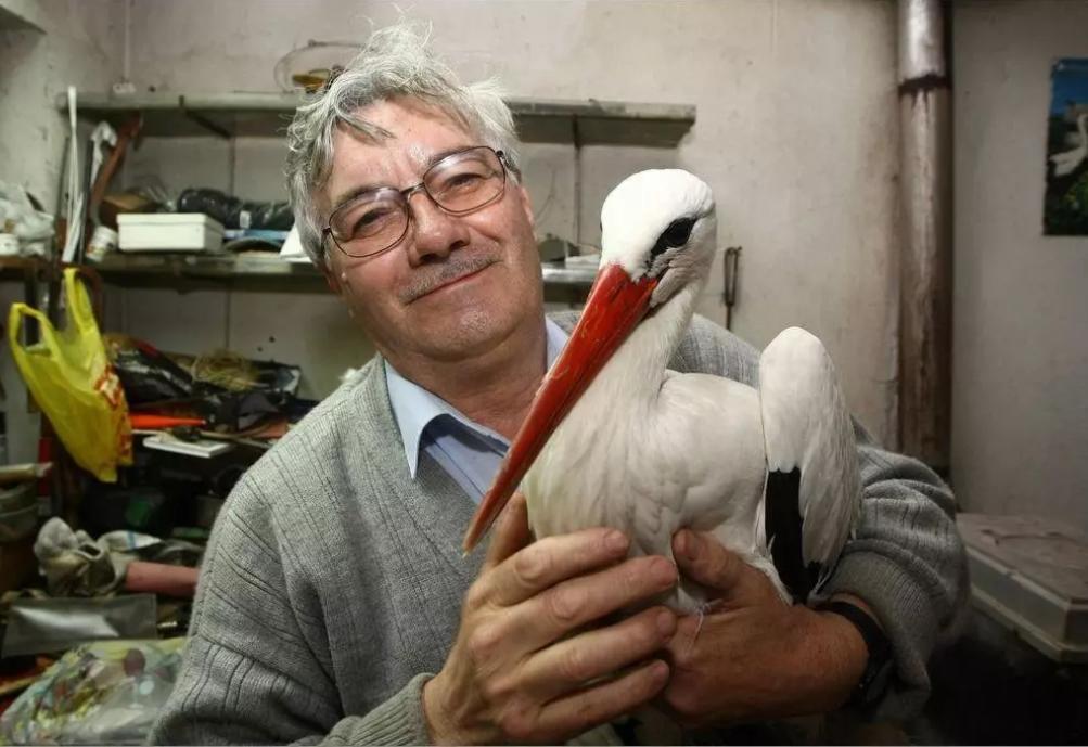 18年感人的爱情故事视频,18年的爱情故事