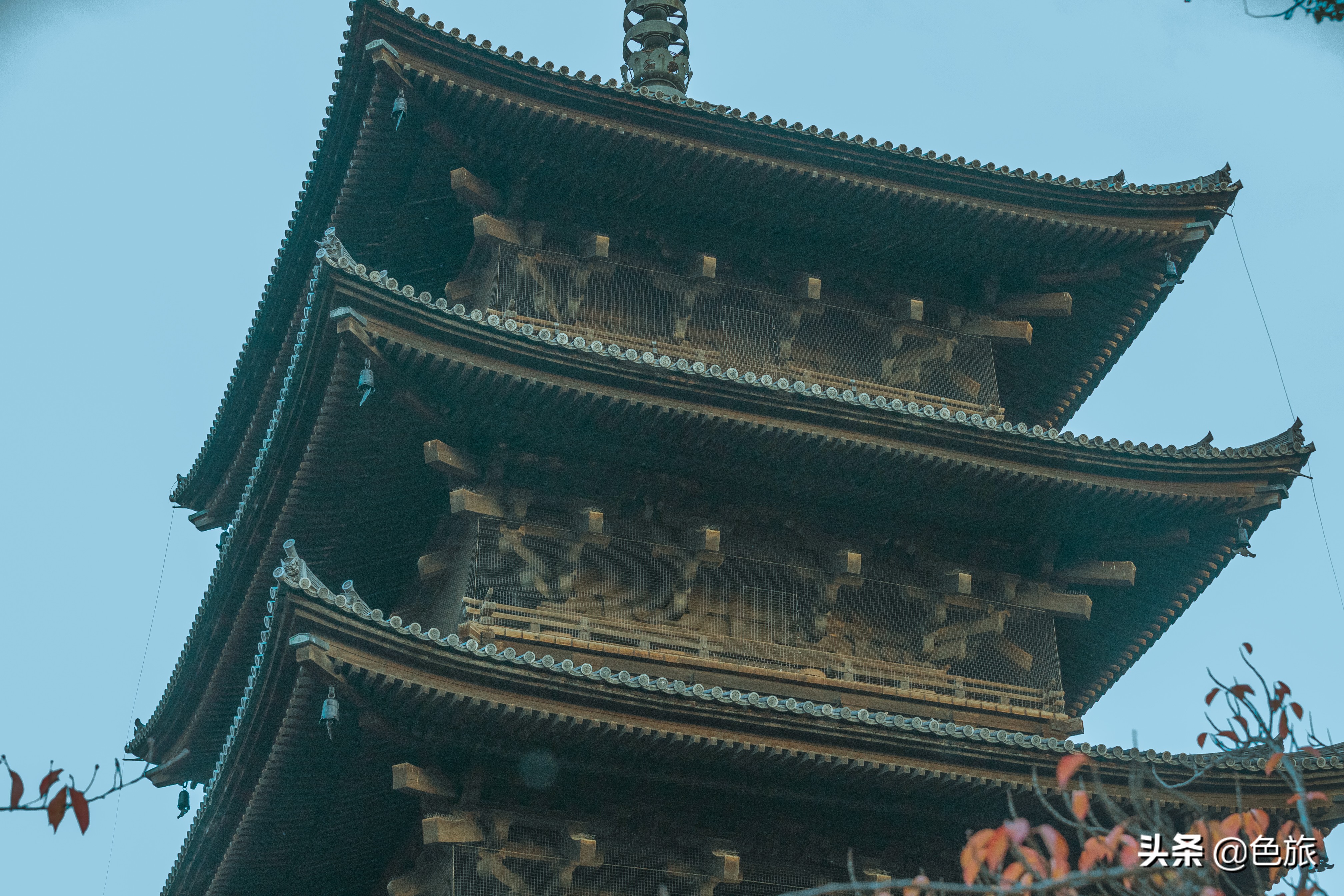 妖猫传日本访唐,妖猫传日本大师