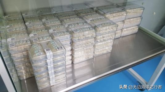 燕窝哪个品牌比较好,燕窝哪个牌子的最好价格便宜