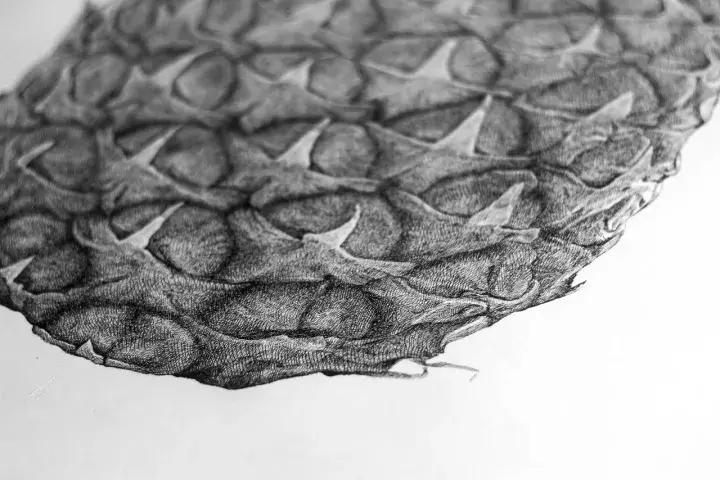 小央美钢笔画视频,极品五大钢笔画简直美爆