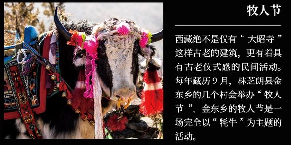 澎湃新闻专访｜摄影师卡布：理解生活方式，了解生活仪式