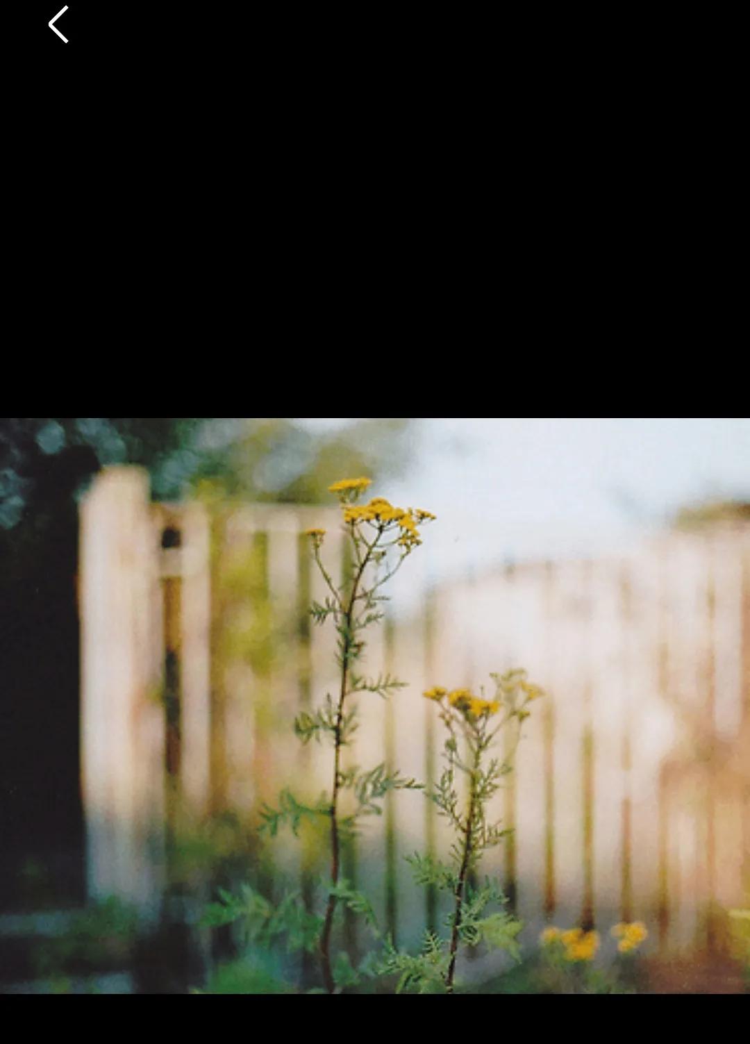 渺小的生命之二舅列传