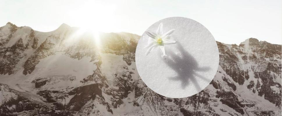 她给粉丝推荐几十块钱的平价产品，浴室里用的却是万元面霜？