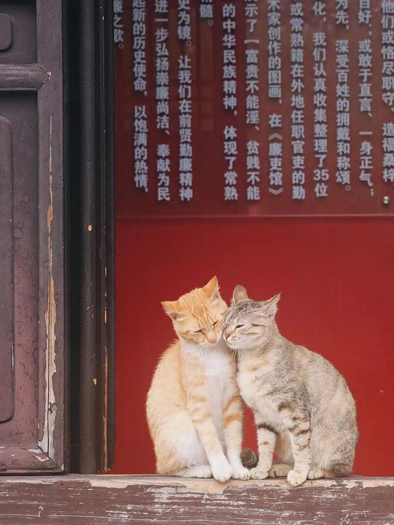 七夕节应该卖什么礼物比较赚钱,竞彩过节费推荐