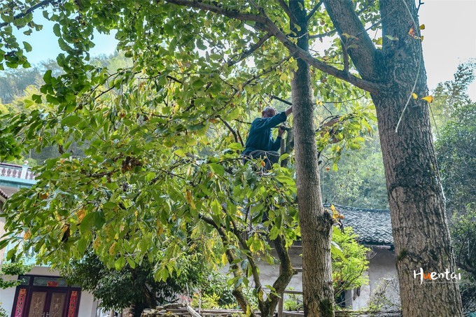 周末自驾游安徽郎溪,门票只花了30块,其它都是原生态秘境