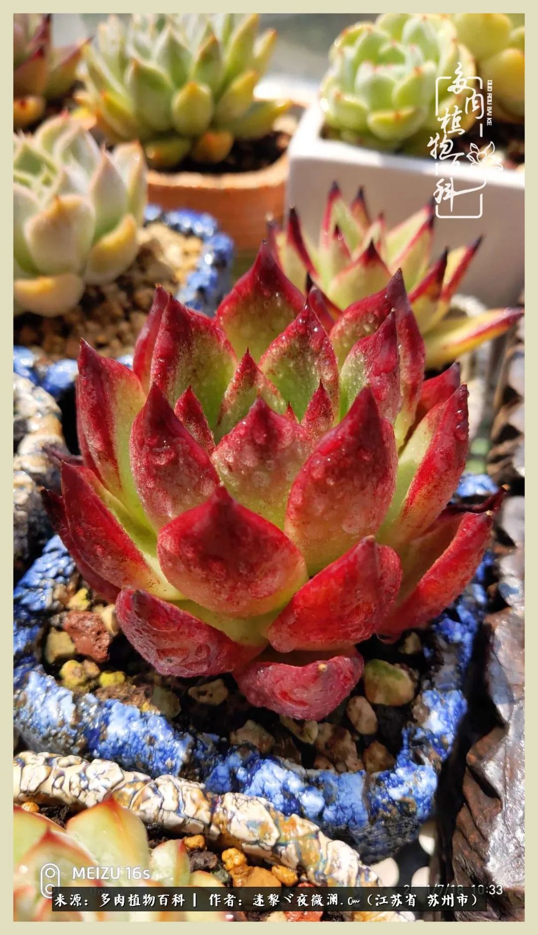 秋尽冬来岁月不居时节如流,岁月不居时节如流水