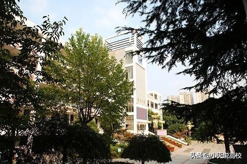 2019年巢湖一中高考成绩榜,巢湖市四中2020年高考喜报