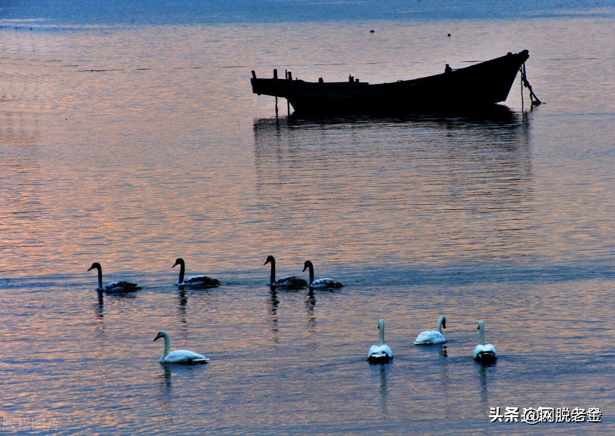 光威鱼竿厂碳纤维,光威碳纤维鱼竿
