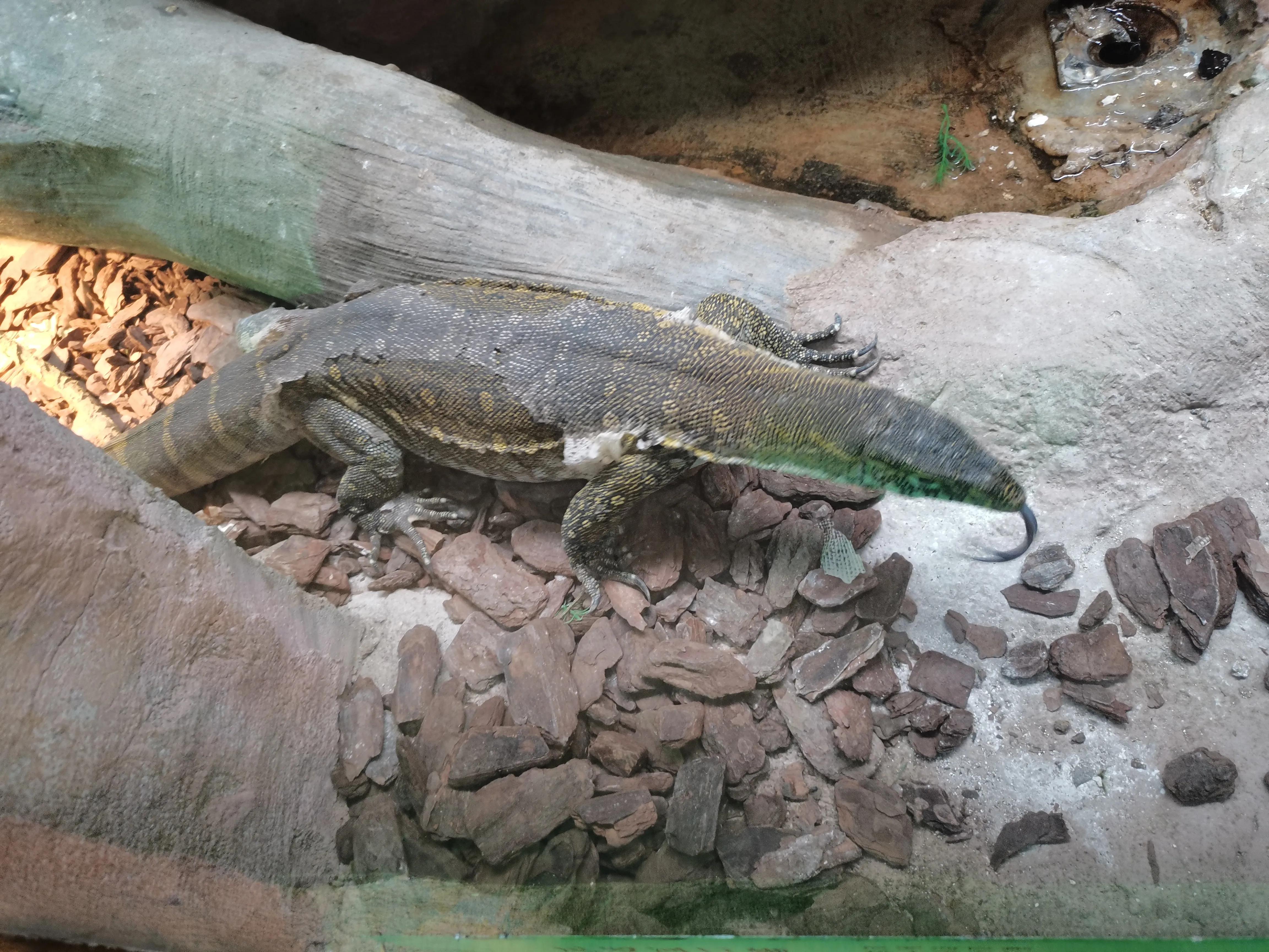 宿州火车站到宿州野生动物园,济南野生动物园和宿州野生动物园