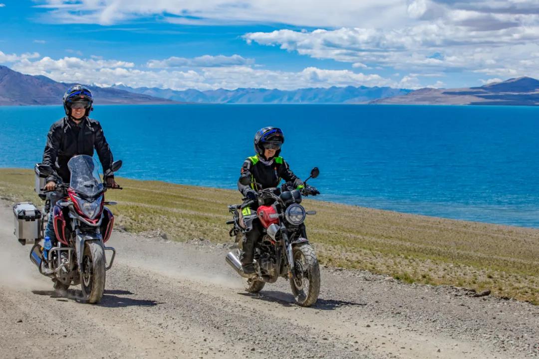 “网红车”猛鸷值得托付！