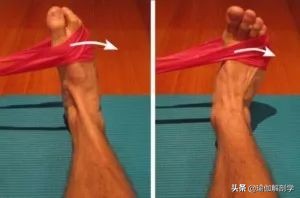 足踝稳定性差应该怎么练,扁平足怎么锻炼脚踝力量