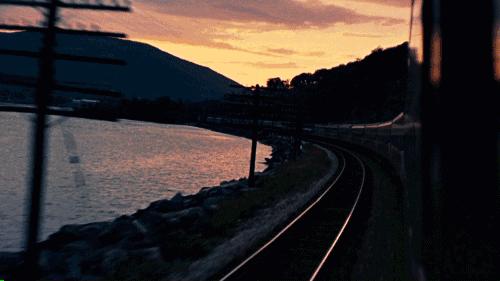 高端环保木门推荐,欧派木门和开开木门哪个好