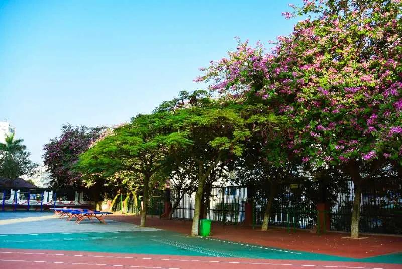 厦门金鸡亭中学合作学校,厦门金鸡亭中学是一中合作校吗