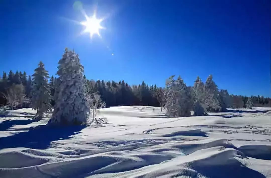 上海特产必买清单一览表,广东各地特产一览表