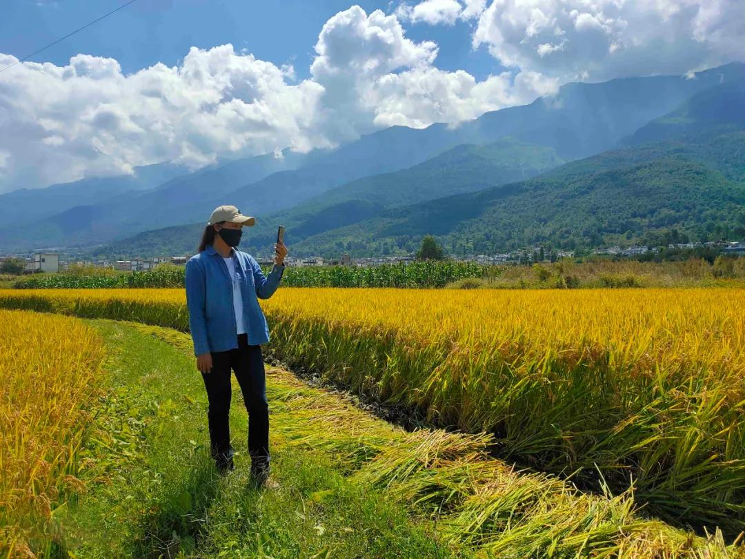 让农业真正回归照顾生命