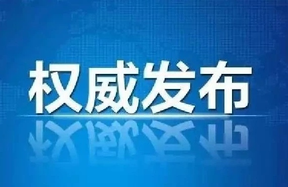 关于疫情防控期间临时调整全市公安派出所窗口服务工作的通知