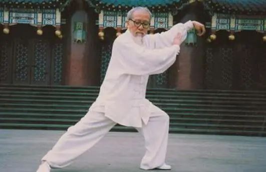 螳螂拳实战拳法,螳螂拳真实的拳法