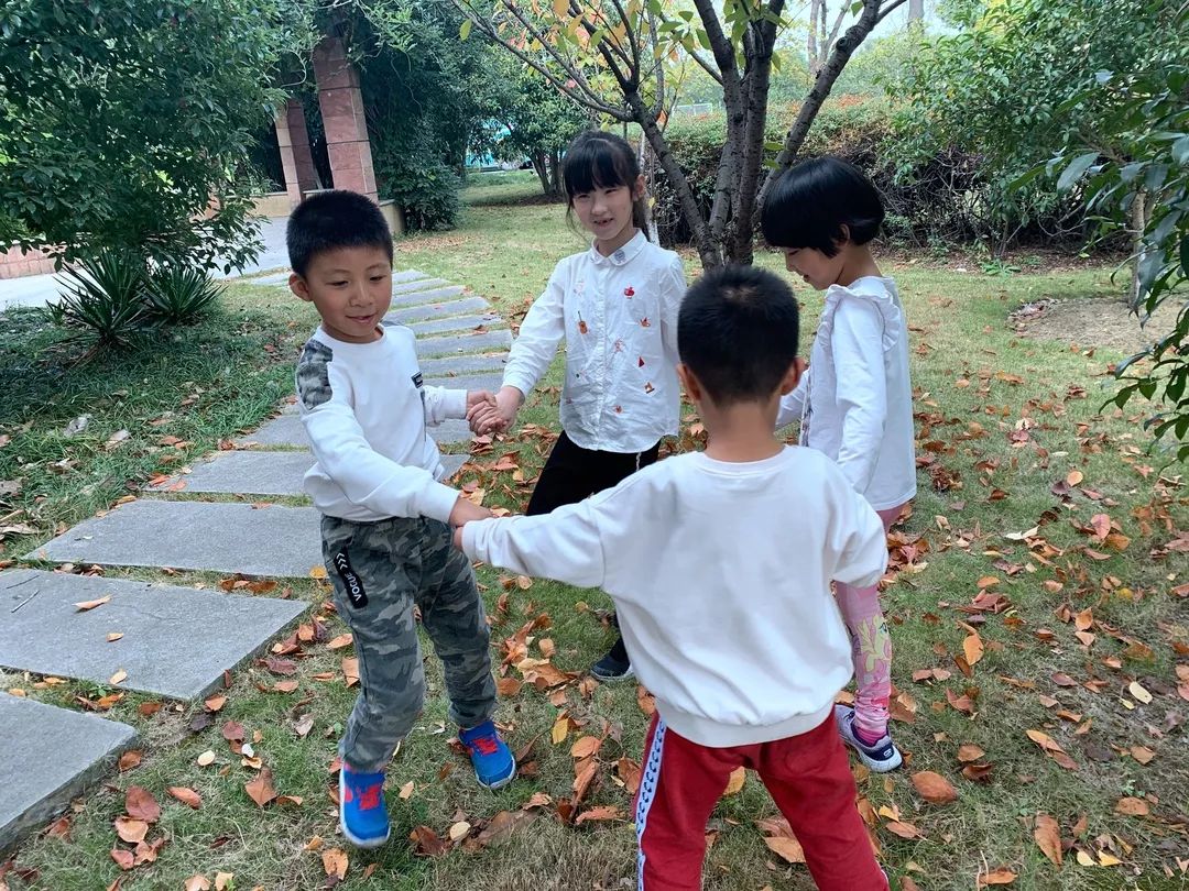 【秋色】一起逛青浦的校园,在书香中邂逅最美的秋