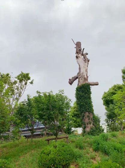 引爆文旅市场,蚌埠城南新建不夜城