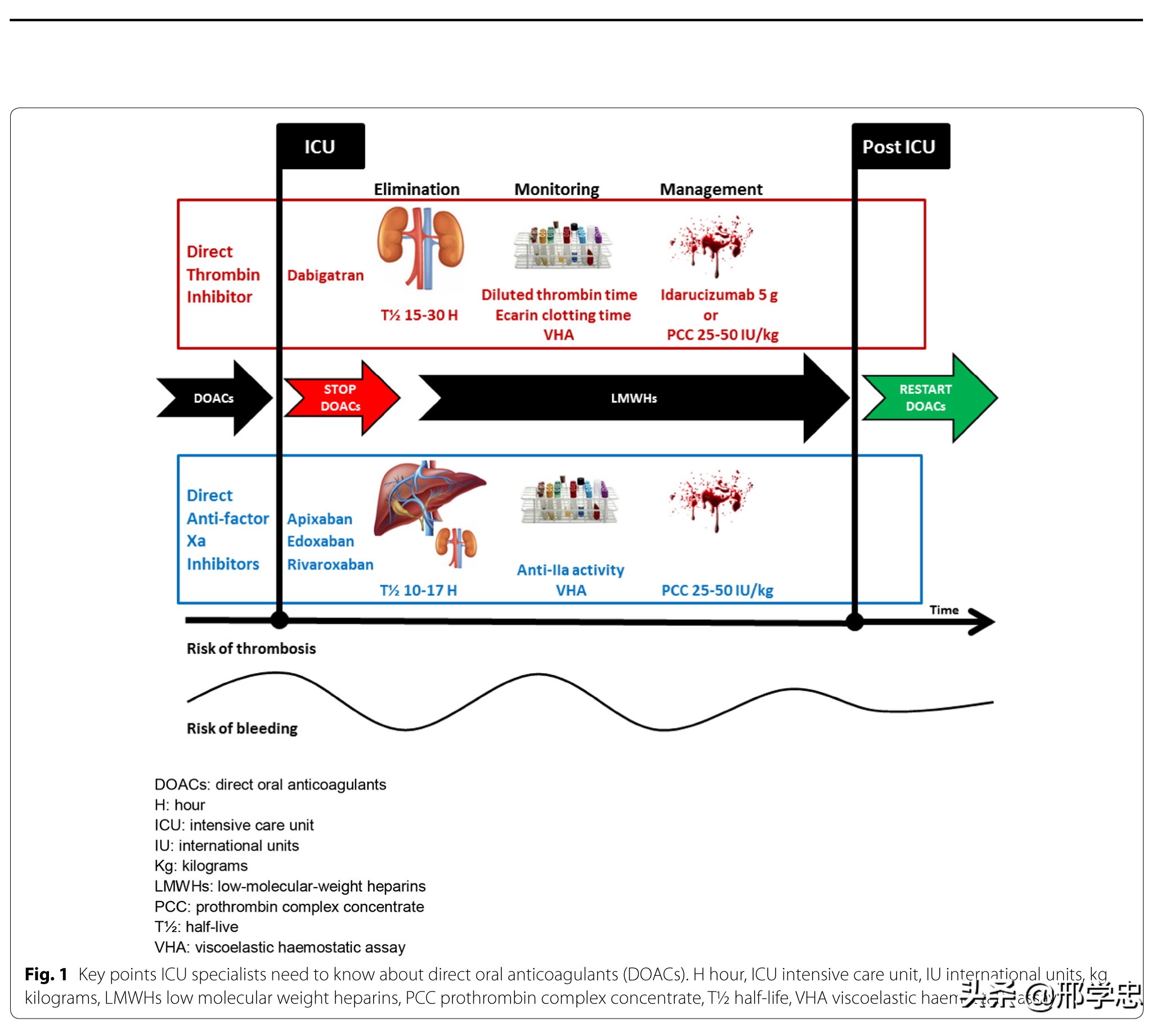 icu医生知识点,吃抗凝药物需要检验什么